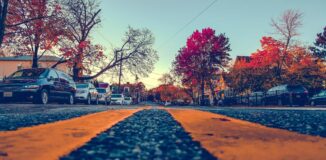 Droga-z-zoltymi-pasami