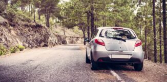 Samochod-osobowy-stojacy-na-poboczu